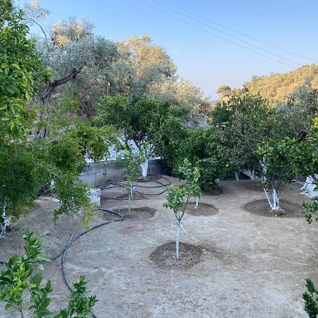 House With Beautiful Garden In Plomari Apartment Exterior photo